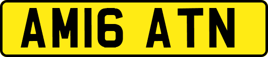 AM16ATN