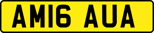 AM16AUA