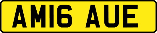 AM16AUE