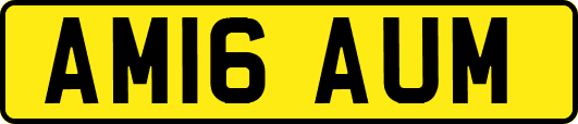 AM16AUM