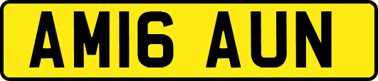 AM16AUN