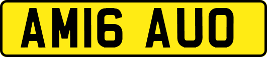 AM16AUO