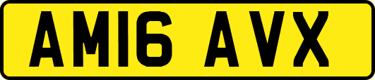 AM16AVX