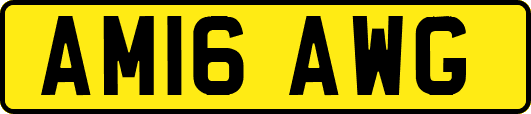 AM16AWG
