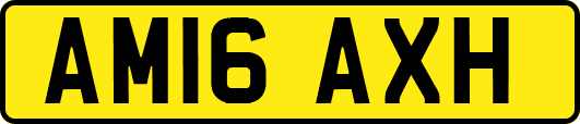 AM16AXH