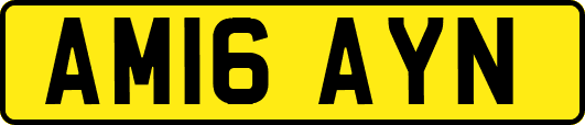 AM16AYN