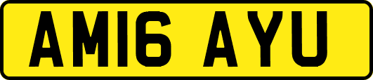 AM16AYU