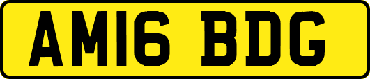 AM16BDG
