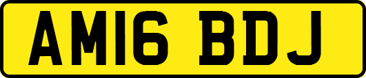 AM16BDJ