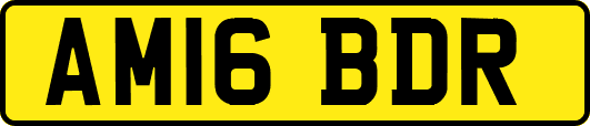 AM16BDR