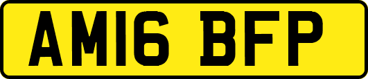AM16BFP