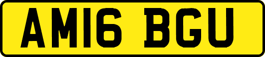 AM16BGU