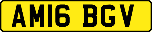 AM16BGV