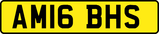 AM16BHS