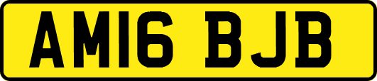 AM16BJB