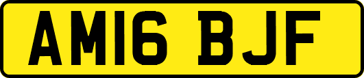 AM16BJF