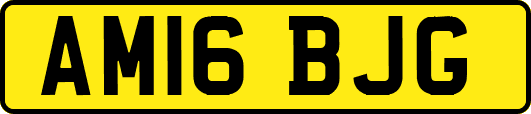 AM16BJG