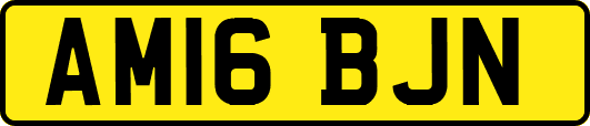 AM16BJN