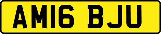 AM16BJU