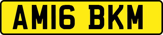 AM16BKM