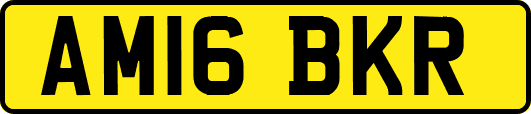 AM16BKR