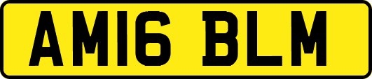 AM16BLM