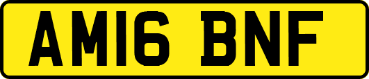 AM16BNF