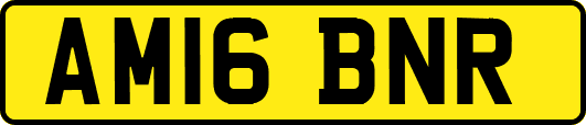 AM16BNR