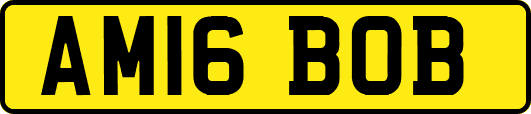 AM16BOB