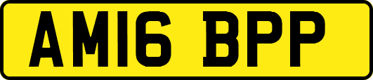 AM16BPP
