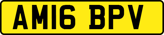 AM16BPV