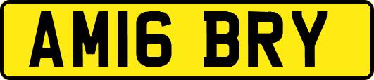 AM16BRY