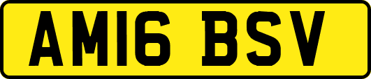 AM16BSV