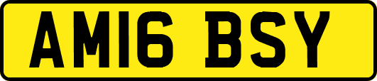 AM16BSY