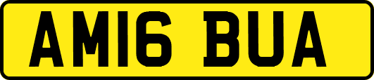 AM16BUA