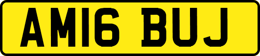 AM16BUJ