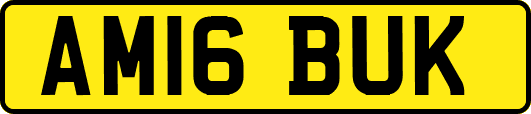 AM16BUK