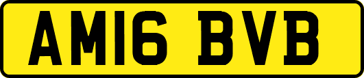 AM16BVB