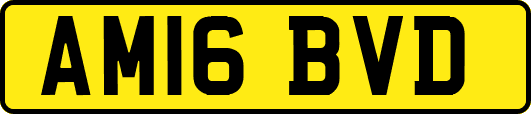 AM16BVD