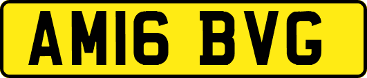 AM16BVG
