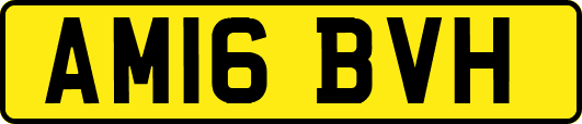 AM16BVH