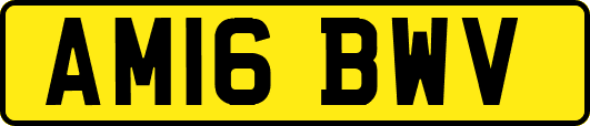 AM16BWV