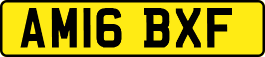AM16BXF