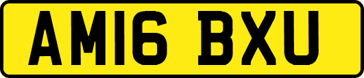 AM16BXU