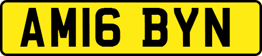 AM16BYN