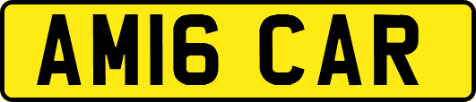 AM16CAR