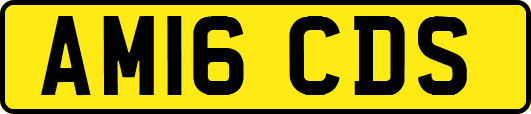 AM16CDS