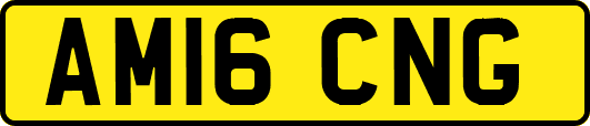 AM16CNG