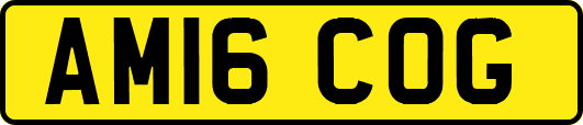 AM16COG
