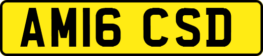AM16CSD